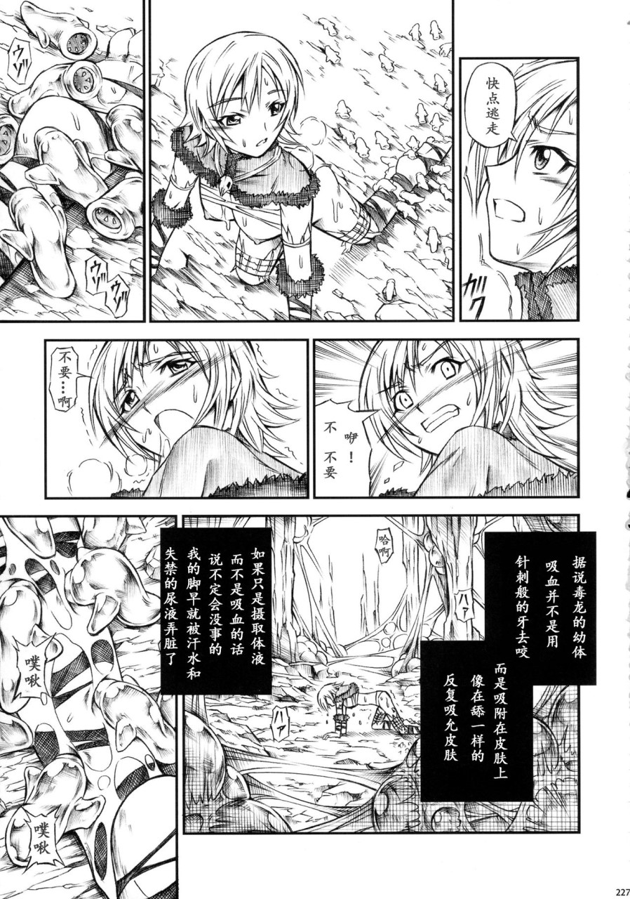 [日本漫画] (C90) [Yokohama Junky (魔狩十織)] ソロハンター達の生態 (モンスターハンター) [中国翻訳] 同人,调教,巨乳大奶#[246P]-227