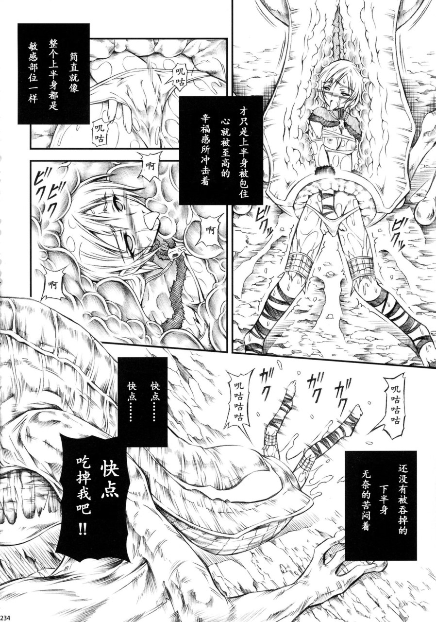 [日本漫画] (C90) [Yokohama Junky (魔狩十織)] ソロハンター達の生態 (モンスターハンター) [中国翻訳] 同人,调教,巨乳大奶#[246P]-234