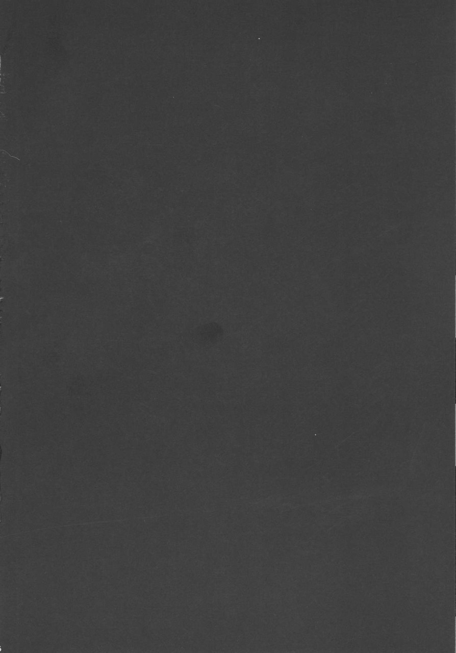 [日本漫画] (C90) [Yokohama Junky (魔狩十織)] ソロハンター達の生態 (モンスターハンター) [中国翻訳] 同人,调教,巨乳大奶#[246P]-6