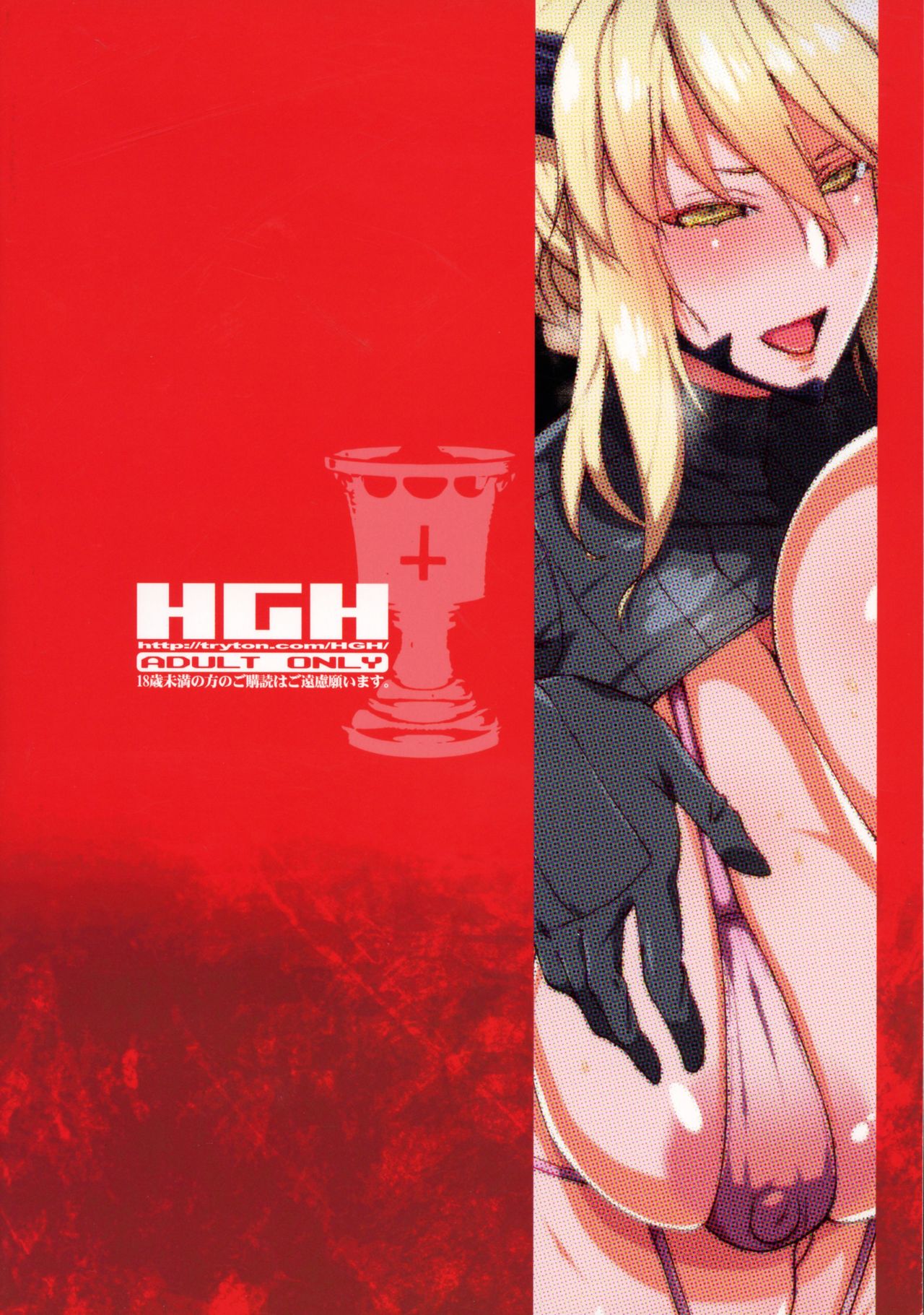 [日本漫画] (COMIC1☆15) [HGH (HG Chagawa)] HGUC #16 Entaku Oyako Juurin -Zenpen- (Fate/Grand Order) 单本,黑丝丝袜,巨乳大奶#[20P]-2