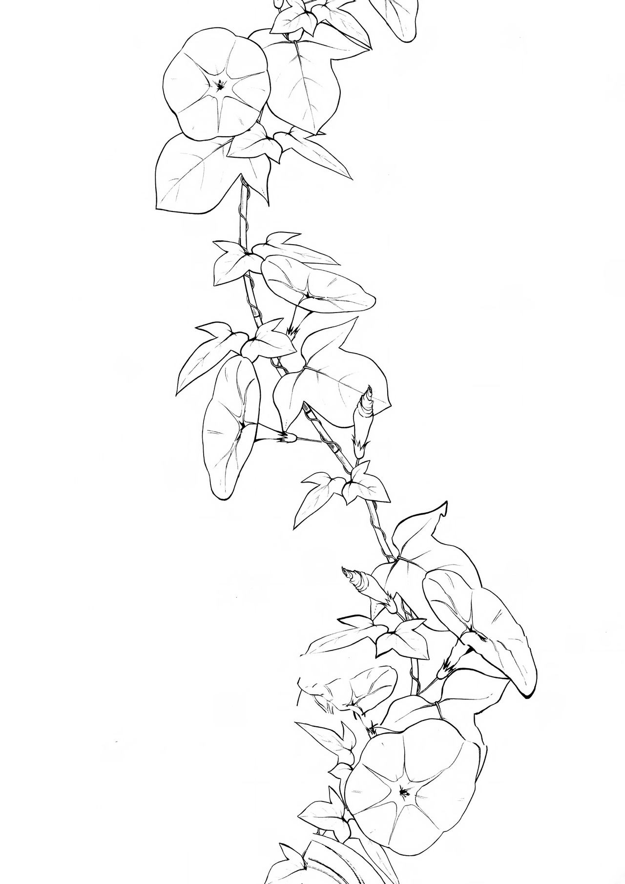 [日本漫画] 姉なるもの 5 单本,正太控,巨乳大奶#[26P]-3