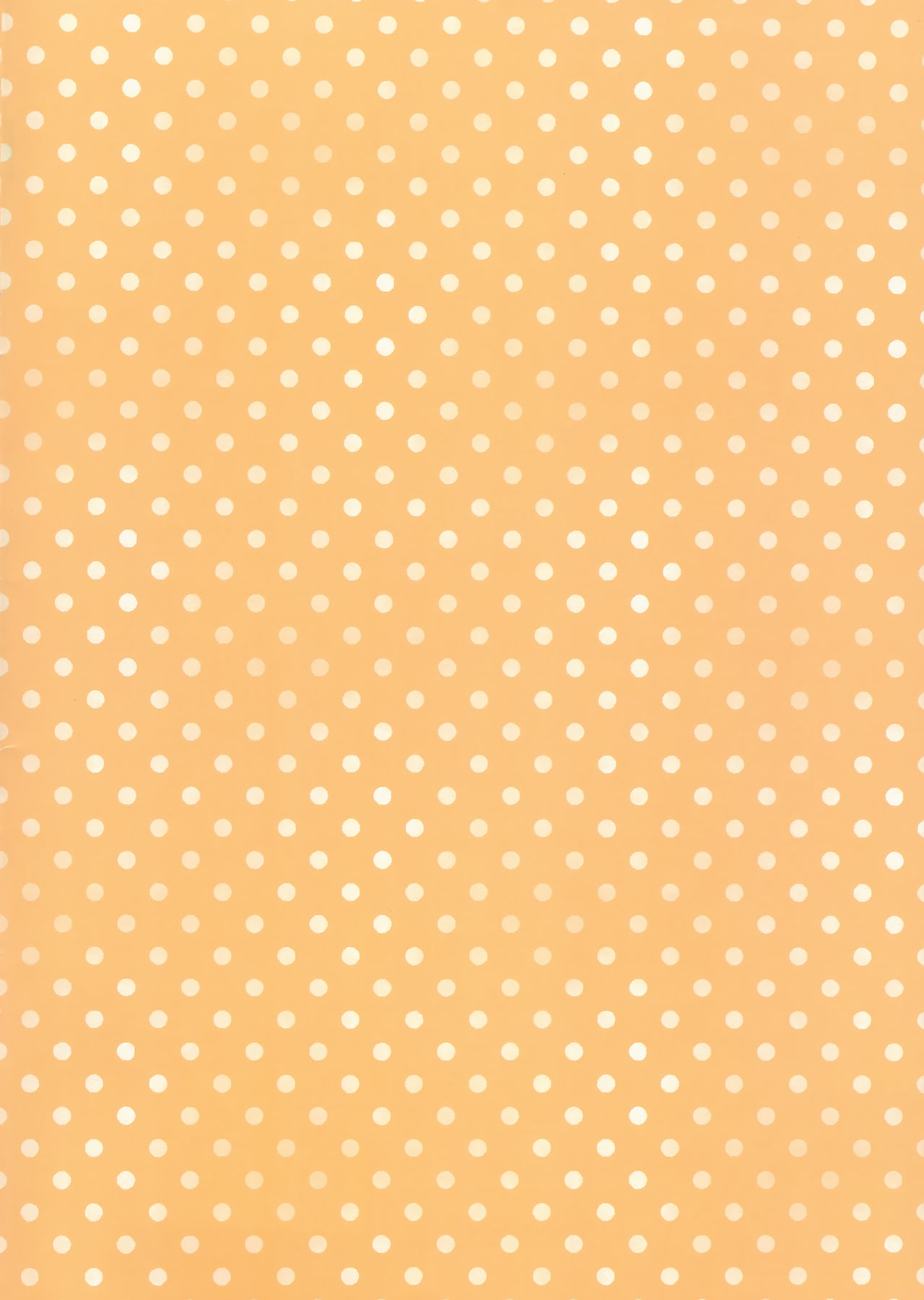 [日本漫画] (C97) [Tamakakeya (Tamakake)] Imoto to hajimemashita  单本,萝莉,单女,女学生制服,单男#[35P]-2