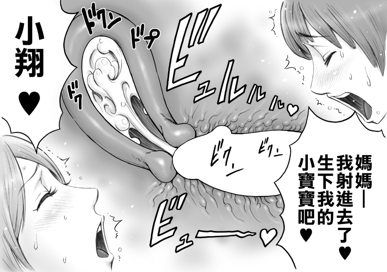 [日本漫画] [DT Koubou (DAIGO)] Daisuki na Mama to Aka-chan o Tsukurou  单本,正太控,巨乳大奶,母亲,单女,单男#[32P]-24