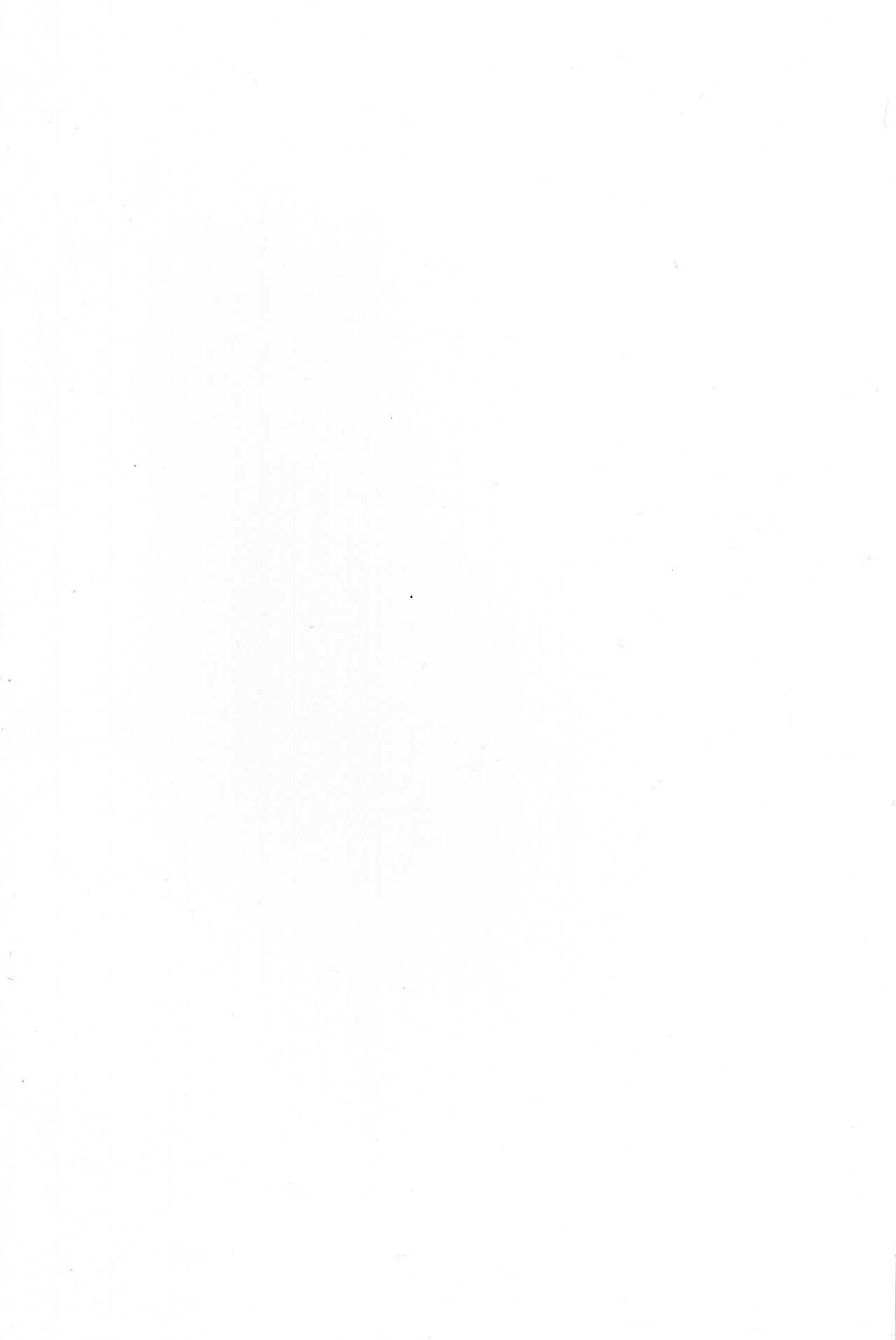 [日本漫画] (C99) [Yamitsuki Honpo (Wise Speak)] Ryousai Oneshota Tamamo-chan (Fate/EXTRA)   单本,正太控,巨乳大奶,单女,兽耳,单男,毛茸茸#[25P]-25