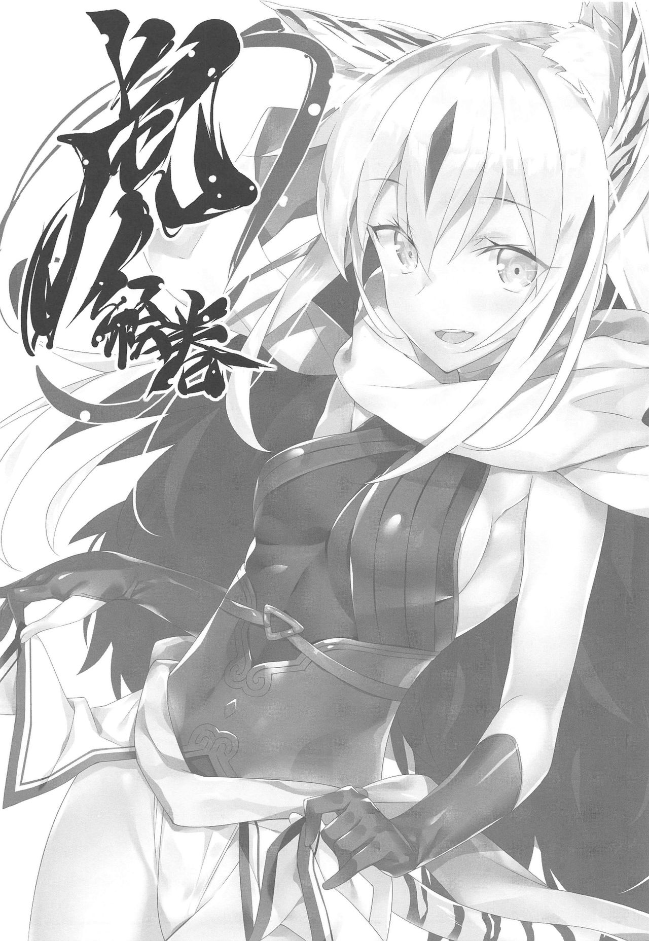 [日本漫画] (C96) [Koito Sousakusho (Hinata Mutsuki)] Tora Emaki (Fate/Grand Order)   单本,单女,兽耳,毛茸茸#[22P]-2