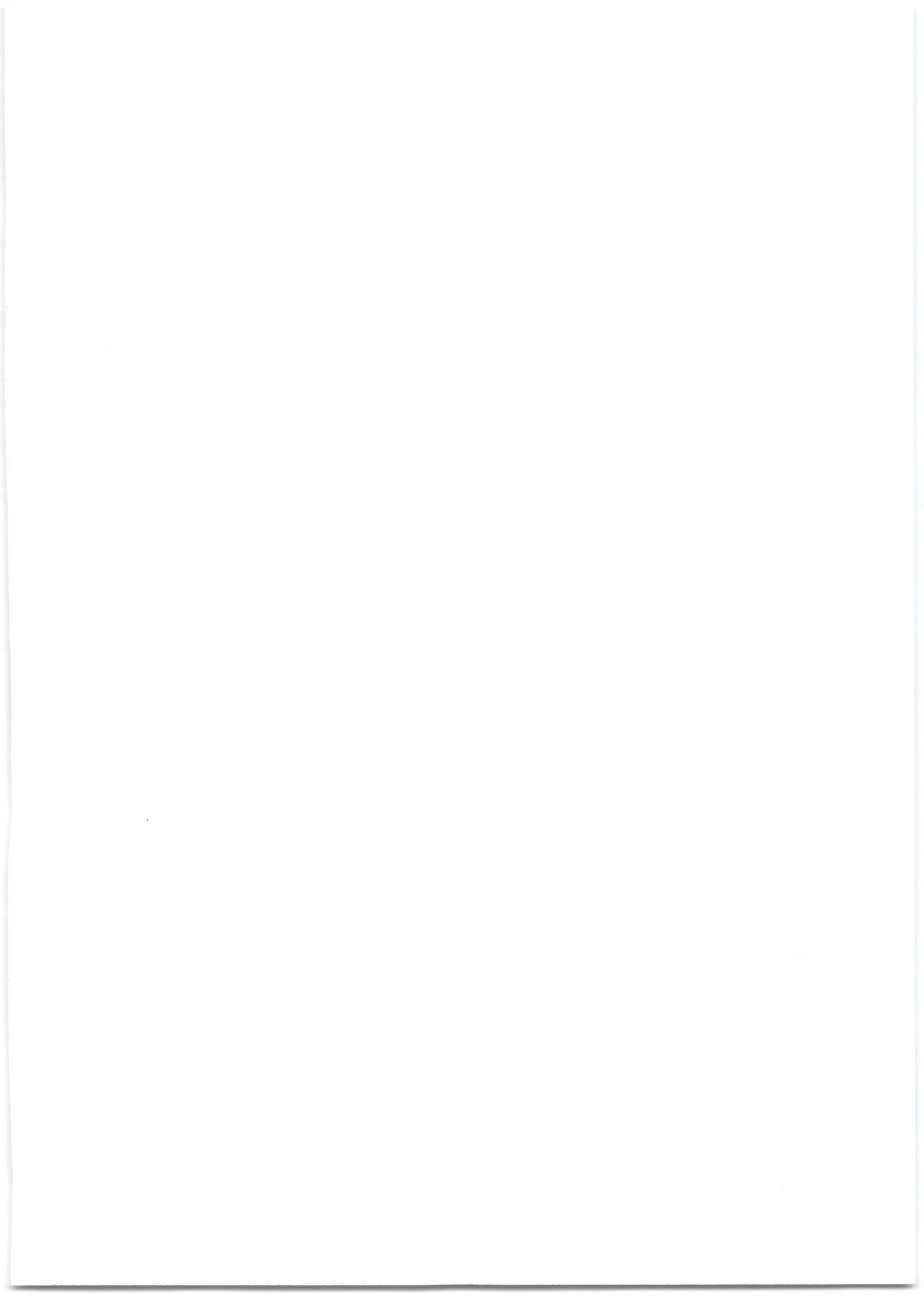 [日本漫画] (C95) [Cleari Tei (Clearite)] Bradamante Sperm Brothers (Fate/Grand Order)   单本,马尾辫,暗黑皮肤#[18P]-2