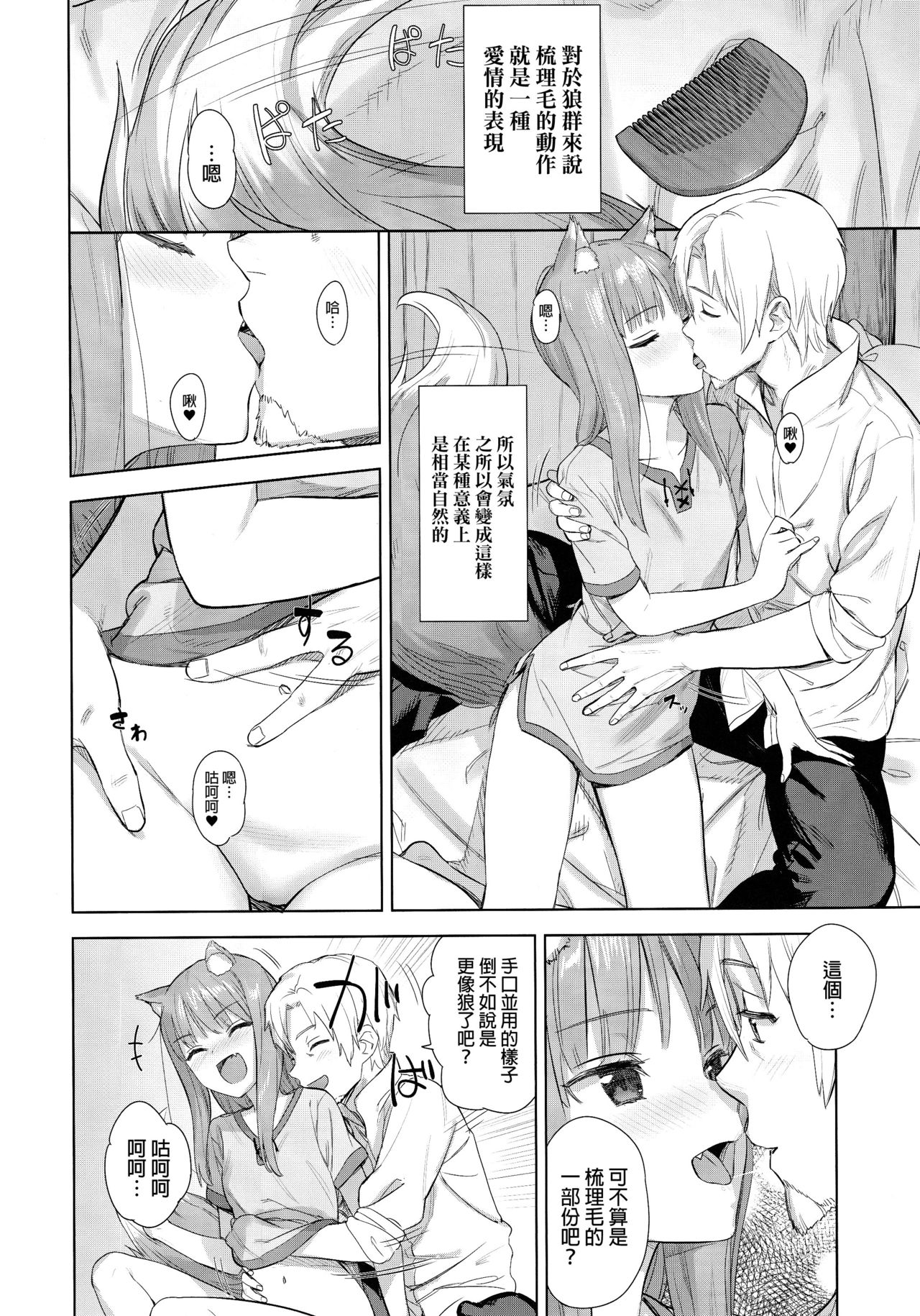 [日本漫画] (C96) [Ajisaidenden (Kawakami Rokkaku, Takanashi Rei)] Wacchi to Shippori Kezukuroi Bon (Spice and Wolf)   单本,肛门,萝莉,单女,单男,丝袜#[25P]-5