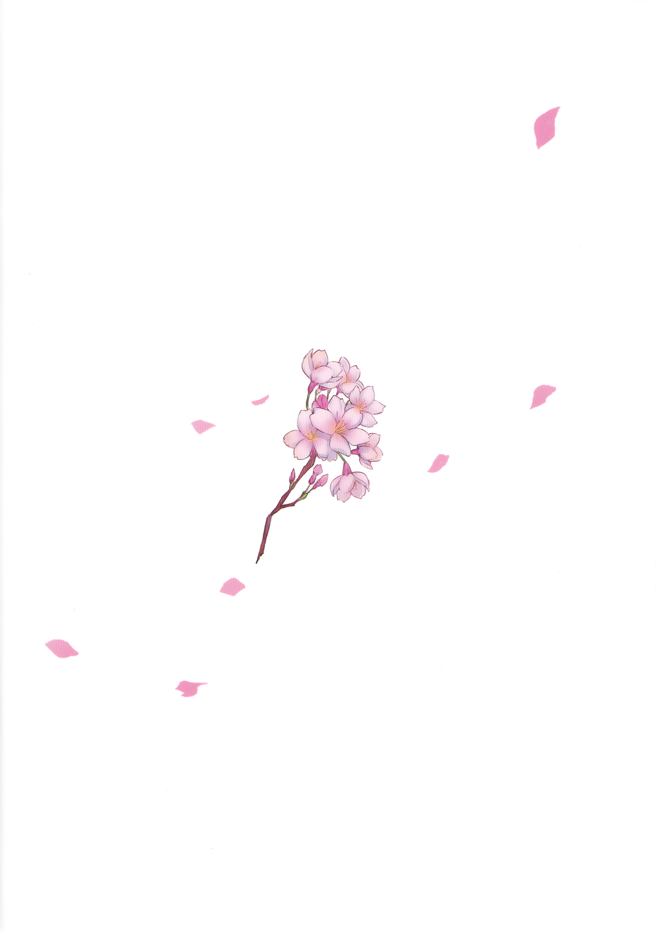 [日本漫画] (COMITIA120) [Kodomo Beer (Yukibuster Z)] Irui Konintan Gaiden [Chinese] 单本,单女,兽耳,单男#[23P]-2