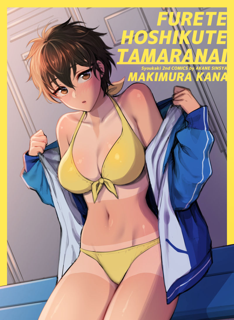 [日本漫画] [Syoukaki] Natsu no Omoide Nokoshitai  想留下夏天的回忆 (Furete Hoshikute Tamaranai)   单本,单女,单男,比基尼,泳装#[18P]-18