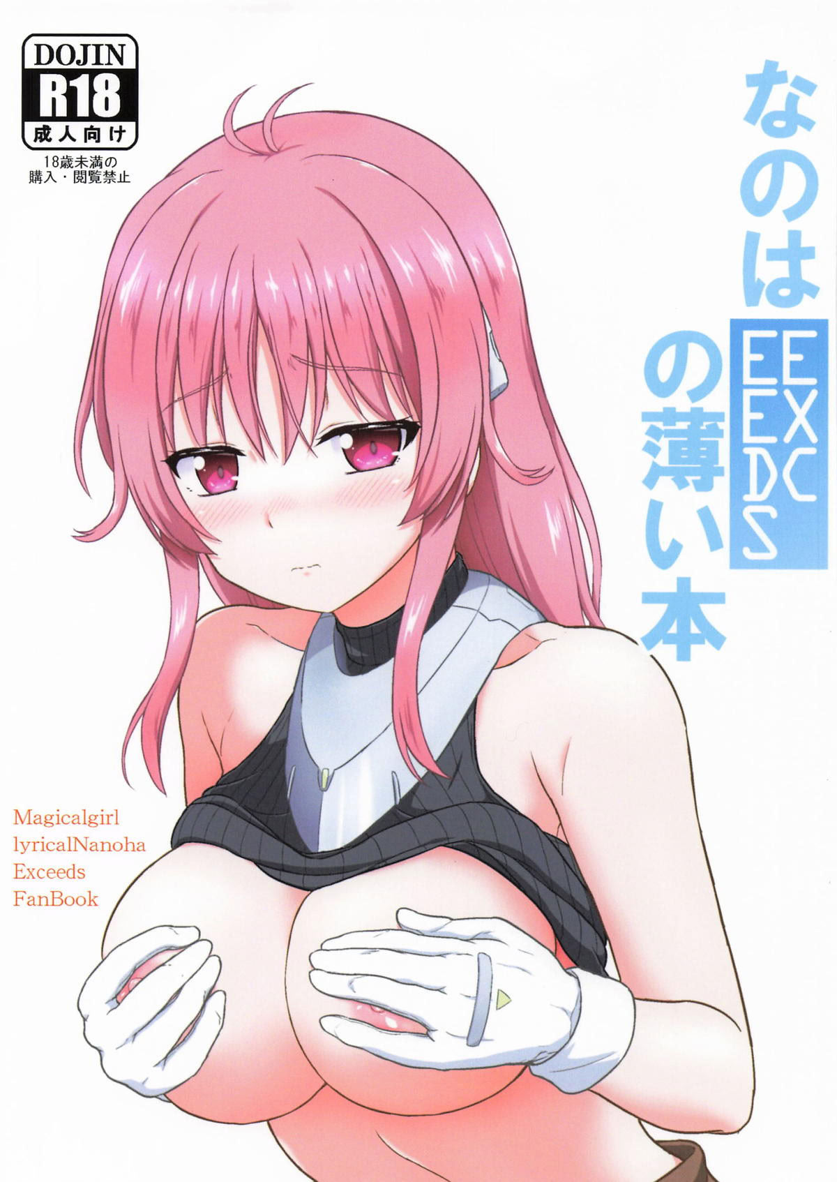 [日本漫画] [朽木ノ洞 (エンマコオロギ)] なのはEXCEEDSの薄い本 (魔法少女リリカルなのは) 单本,巨乳大奶,单女,制服,丝袜#[11P]-1