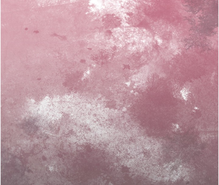 [韩国漫画] 花容湿色:取花点 剧情,巨乳大奶#[148P]-146