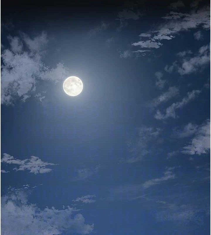 [韩国漫画] 花容湿色:取花点 剧情,巨乳大奶#[127P]-106