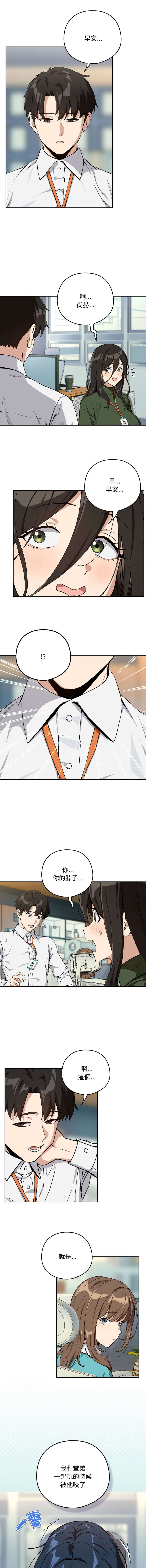 [韩国漫画] 下班后的秘密关系 剧情,职场#[12P]-7