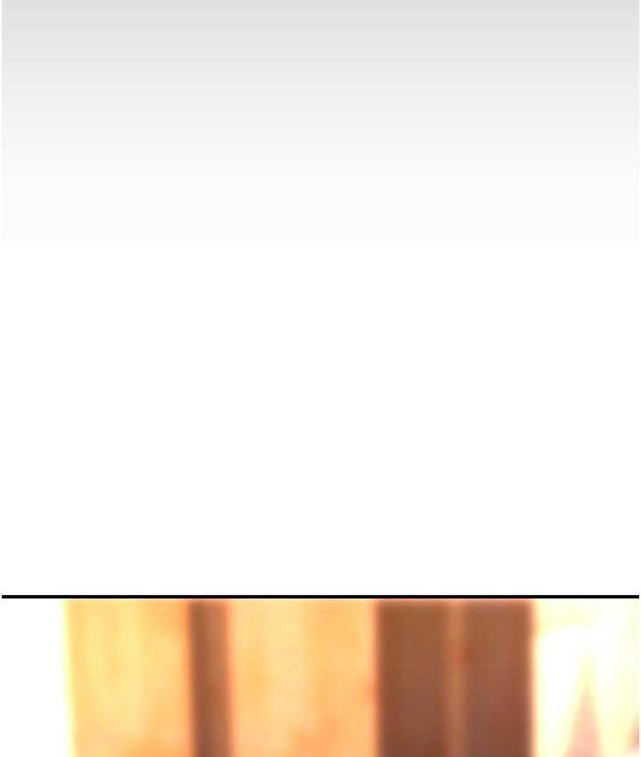 [韩国漫画] 复仇母女丼 剧情,熟女人妻#[167P]-119