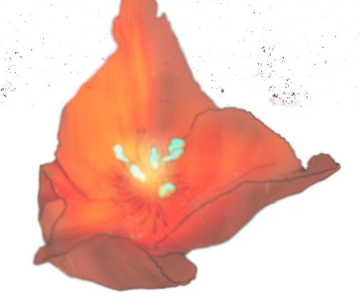 [韩国漫画] 觉醒 奇幻,巨乳大奶,妖精#[31P]-23