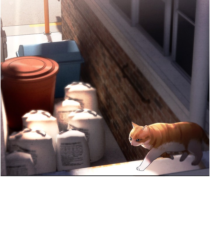 [韩国漫画] Beautiful Days 剧情,OL#[371P]-62