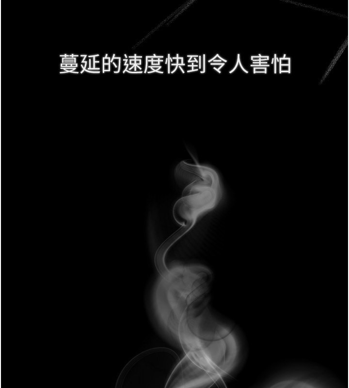 [韩国漫画] Beautiful Days 剧情,OL#[212P]-3