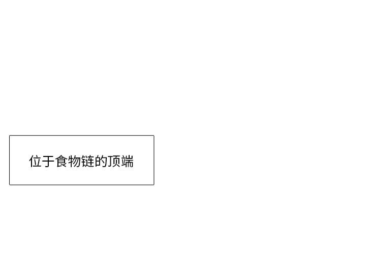 [韩国漫画] 野性之城 BL,剧情向#[79P]-1