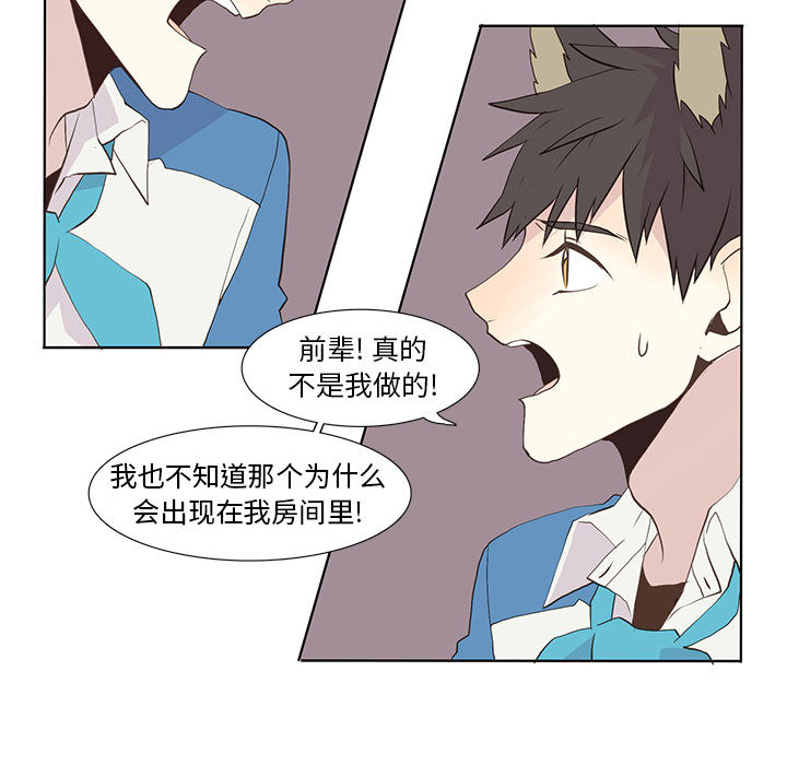 [韩国漫画] 野性之城 BL,剧情向#[54P]-45