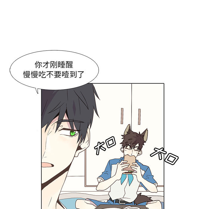 [韩国漫画] 野性之城 BL,剧情向#[75P]-17