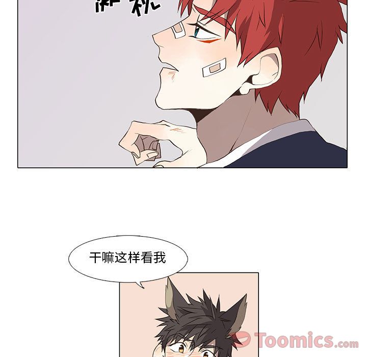 [韩国漫画] 野性之城 BL,剧情向#[70P]-11