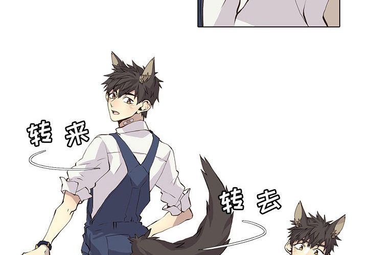 [韩国漫画] 野性之城 BL,剧情向#[51P]-4