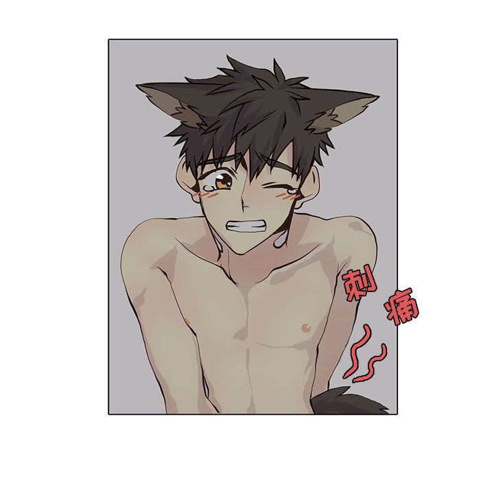 [韩国漫画] 野性之城 BL,剧情向#[67P]-41