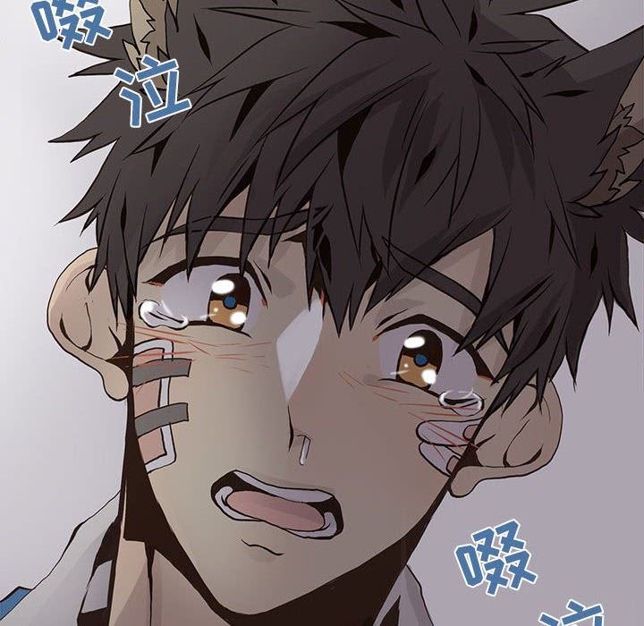 [韩国漫画] 野性之城 BL,剧情向#[81P]-71