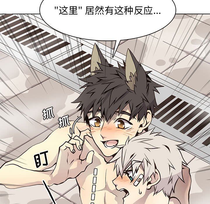 [韩国漫画] 野性之城 BL,剧情向#[67P]-17