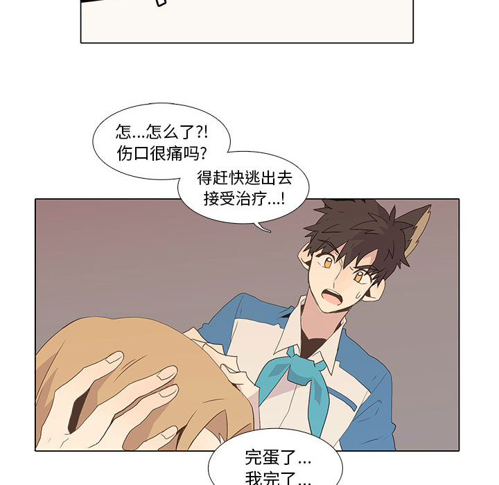 [韩国漫画] 野性之城 BL,剧情向#[80P]-59