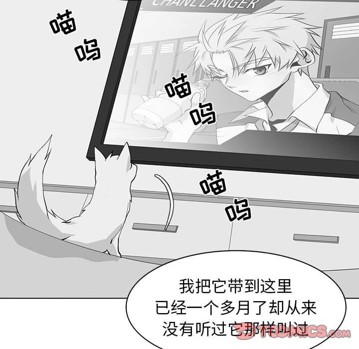 [韩国漫画] 野性之城 BL,剧情向#[72P]-22