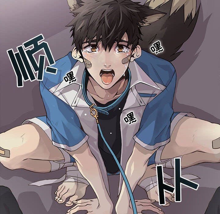 [韩国漫画] 野性之城 BL,剧情向#[74P]-16