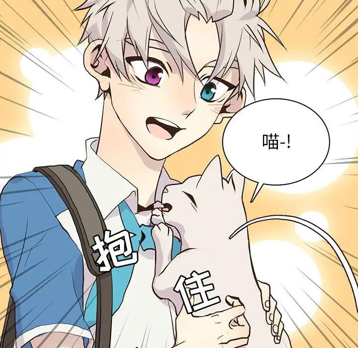 [韩国漫画] 野性之城 BL,剧情向#[103P]-59