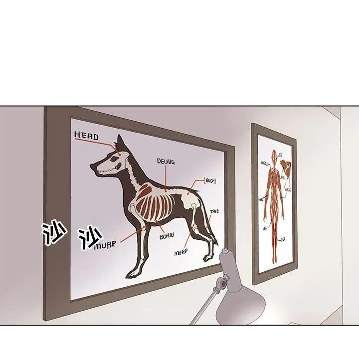 [韩国漫画] 野性之城 BL,剧情向#[85P]-73