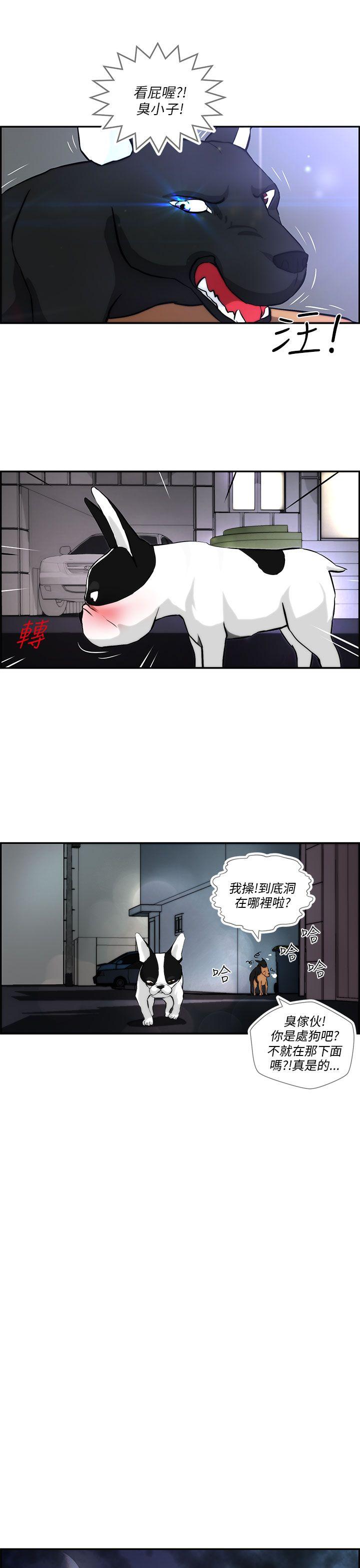 [韩国漫画] 变成狗的男人 剧情,巨乳大奶#[27P]-9