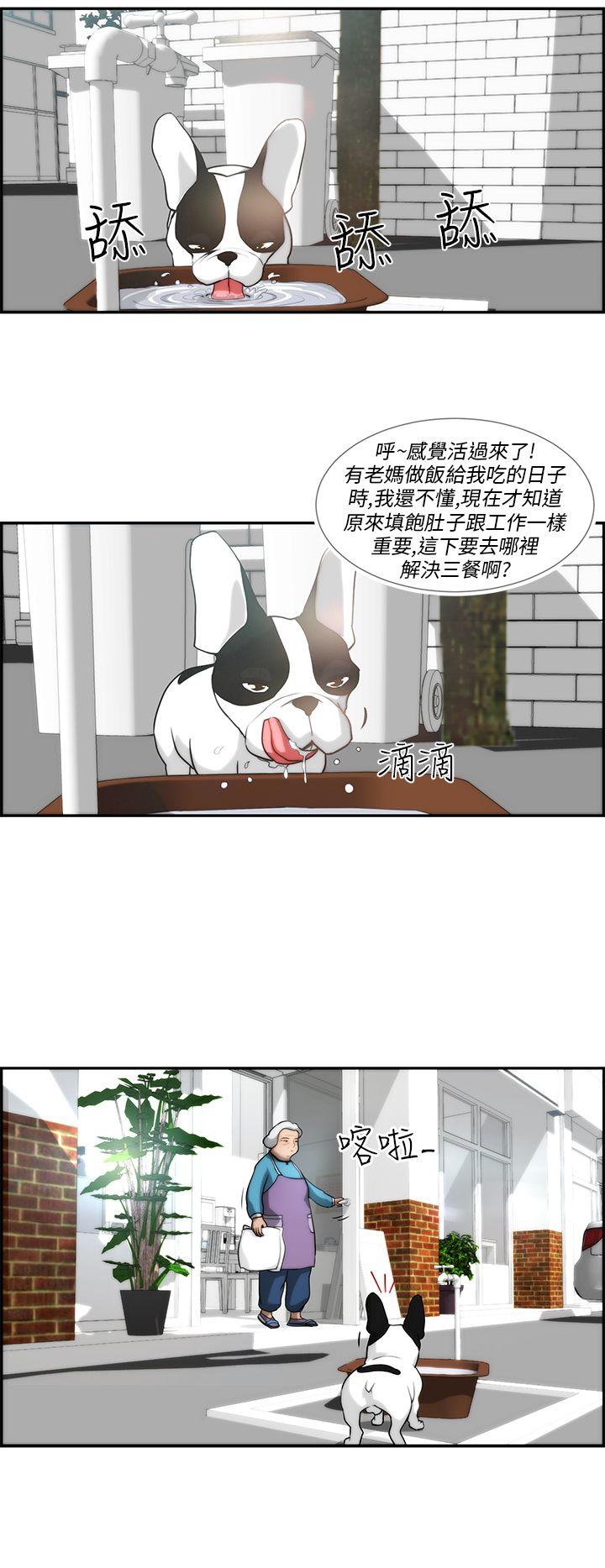 [韩国漫画] 变成狗的男人 剧情,巨乳大奶#[22P]-16