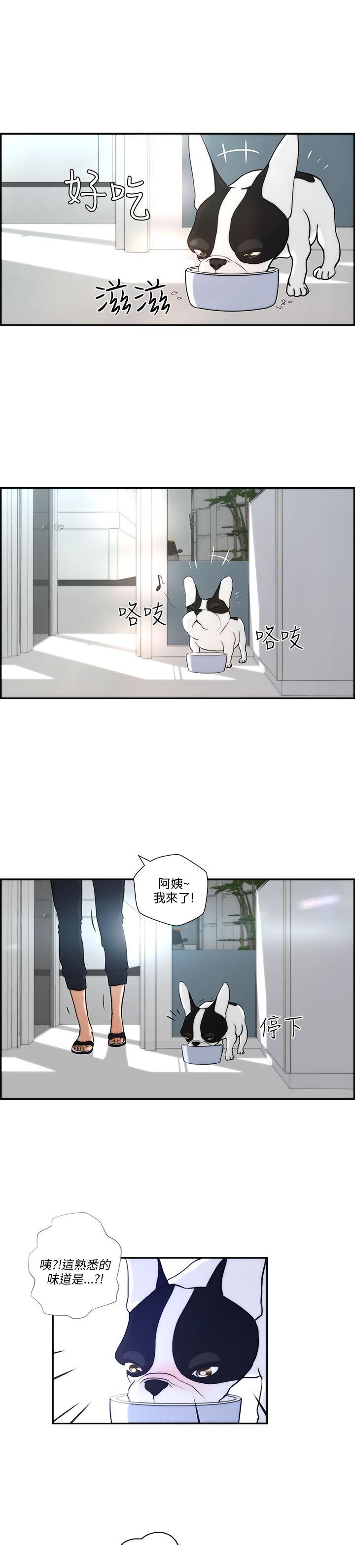 [韩国漫画] 变成狗的男人 剧情,巨乳大奶#[22P]-21