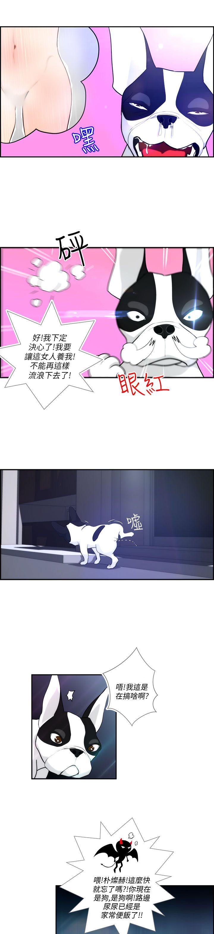 [韩国漫画] 变成狗的男人 剧情,巨乳大奶#[22P]-5