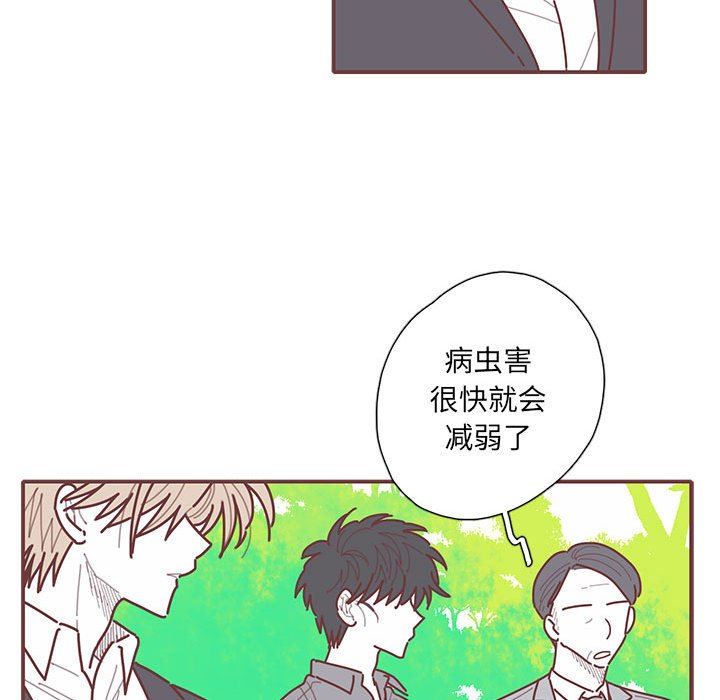 [韩国漫画] 恋上你的声音 BL,剧情向#[110P]-47