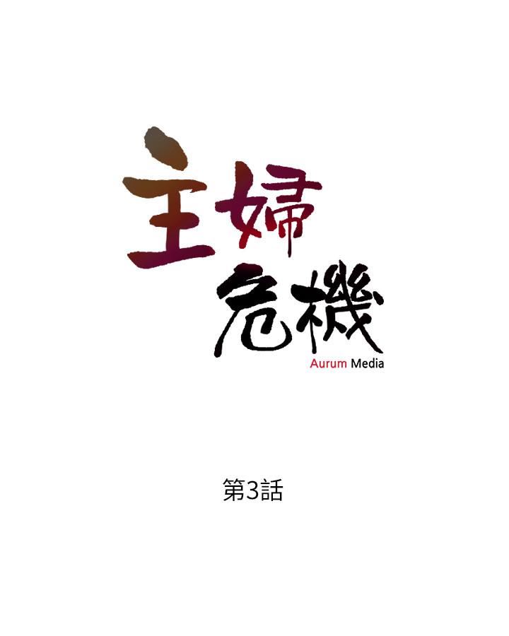 [韩国漫画] 主妇危机 剧情,熟女人妻,巨乳大奶#[30P]-3