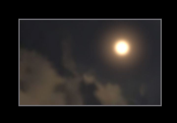 [韩国漫画] 最后的男人 奇幻,巨乳大奶#[121P]-2