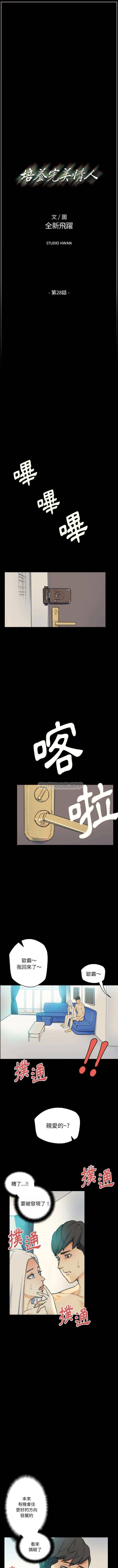 [韩国漫画] 完美情人养成记 调教,巨乳大奶,女学生#[16P]-1