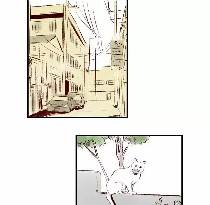 [韩国漫画] 堕落城市 剧情,熟女人妻,巨乳大奶#[98P]-45