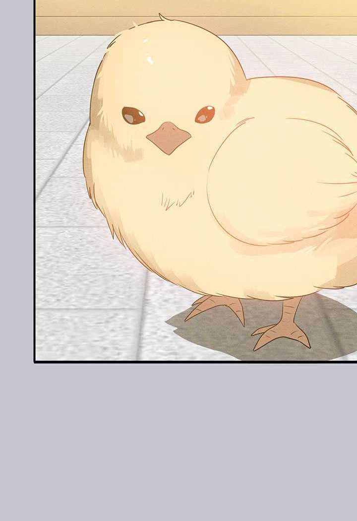 [韩国漫画] 富家女姐姐 剧情,熟女人妻,巨乳大奶#[170P]-168