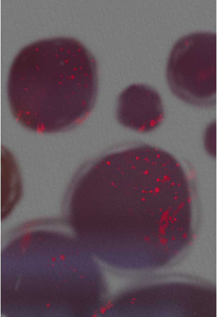 [韩国漫画] 射雕英雄传：一捅天下 剧情,巨乳大奶#[152P]-67