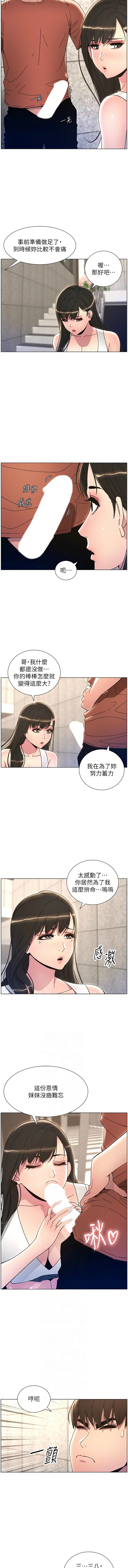 [韩国漫画] 兄妹的秘密授课 剧情,不伦,青年#[10P]-7