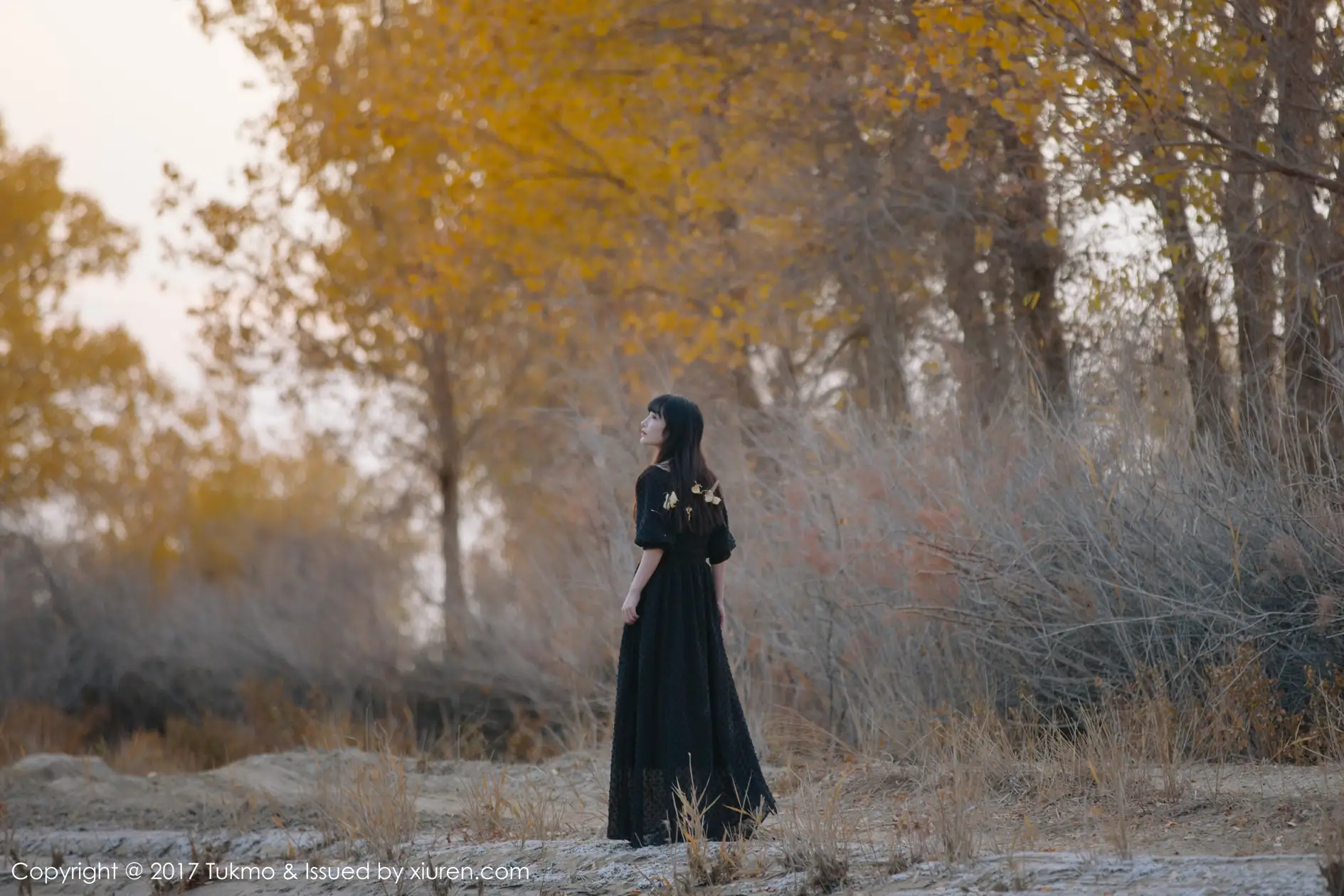 [波萝社] 2017.09.26 Vol.104 之应#[41P]-1