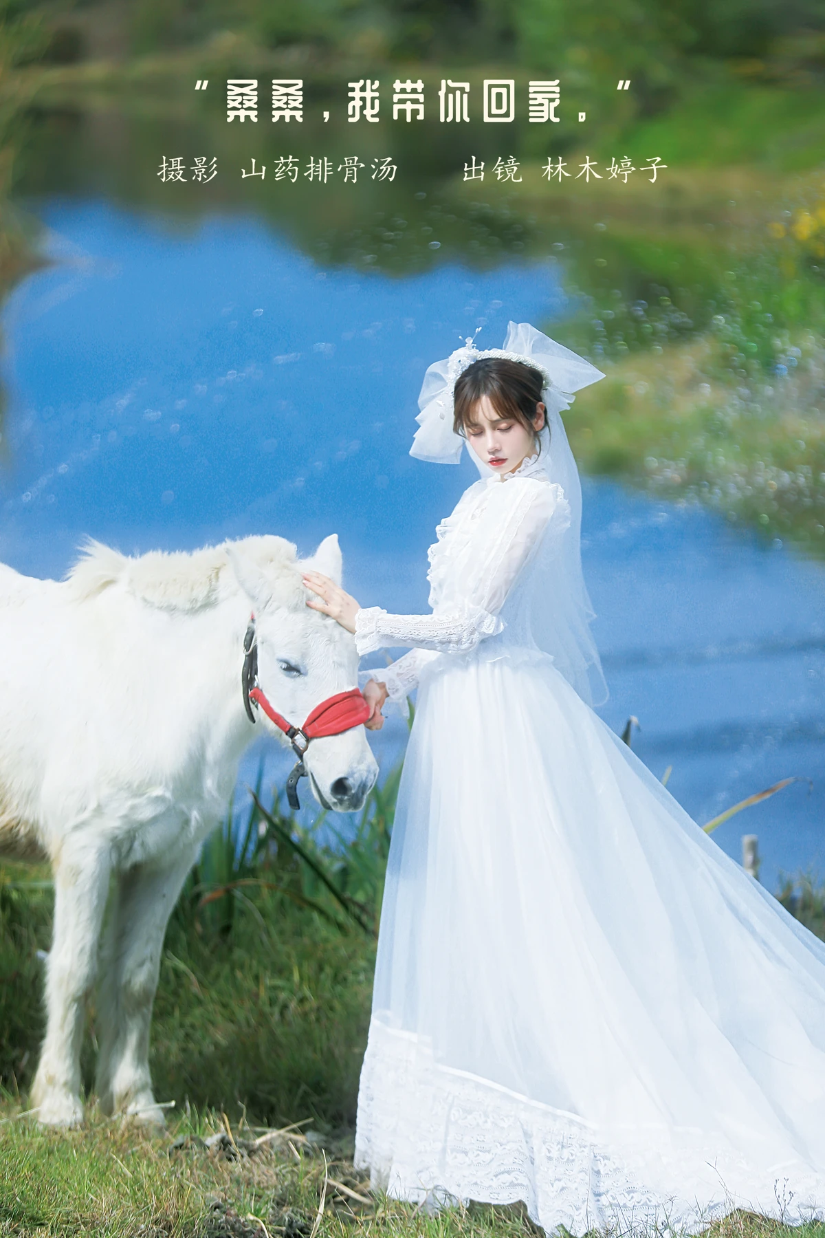 [艺图语] 2023.01.08 Vol.2867 – 桑桑，我带你回家。 林木婷子