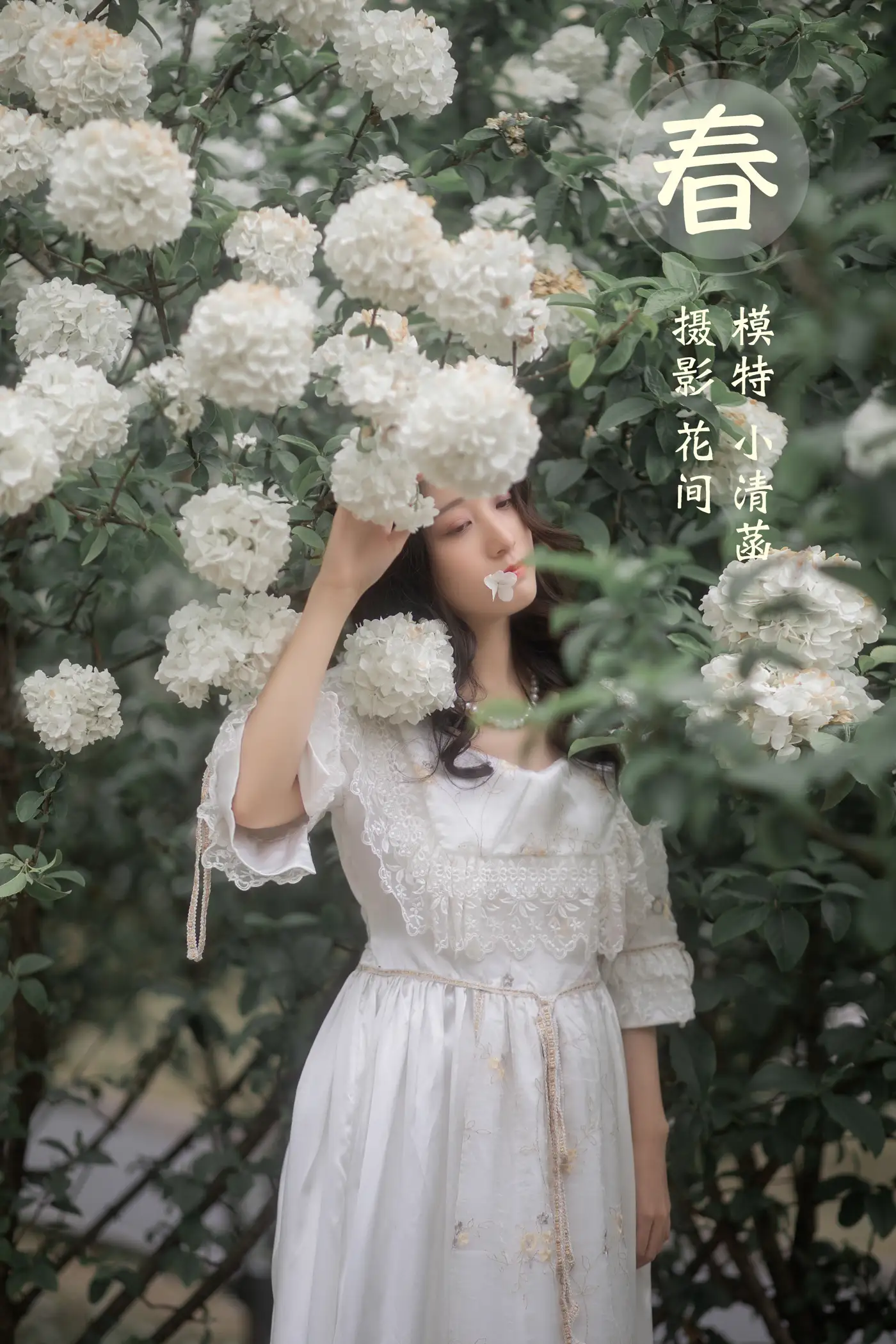 [艺图语] 2021.12.22 Vol.512 – 春 小清菡
