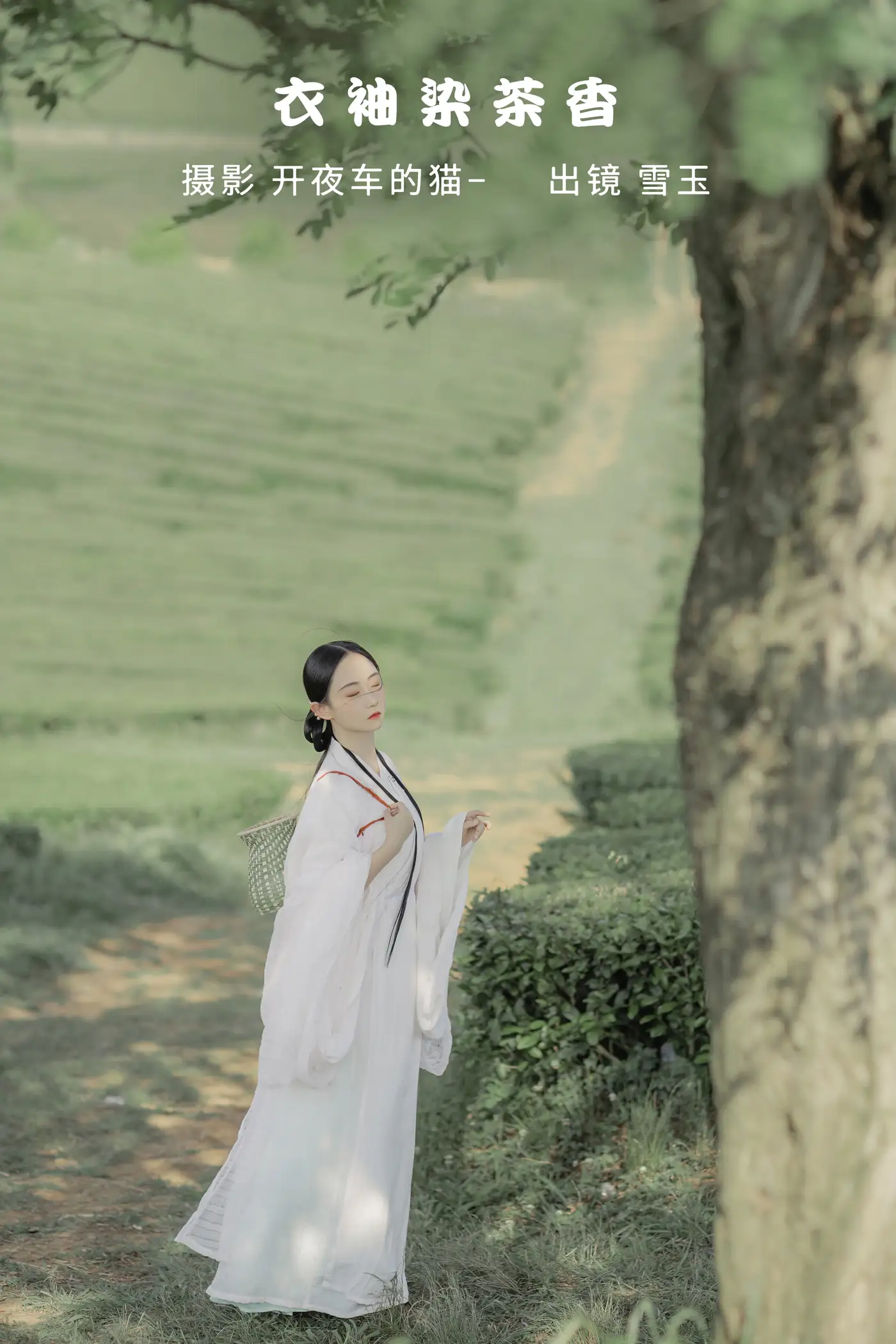 2022.11.11 Vol.2415 – 衣袖染茶香